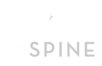 Chiropractic Duluth GA C1 Spine Lab