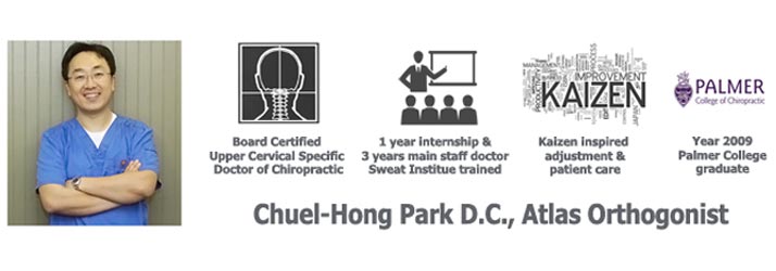 Chiropractor Duluth GA Chuel Hong Park Credentials