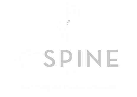 Chiropractic Duluth GA C1 Spine Lab